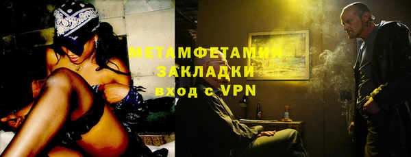 индика Волоколамск