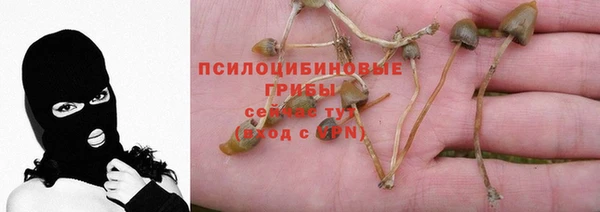 ГАЛЛЮЦИНОГЕННЫЕ ГРИБЫ Волосово