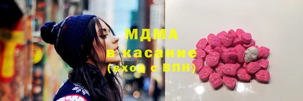 индика Волоколамск
