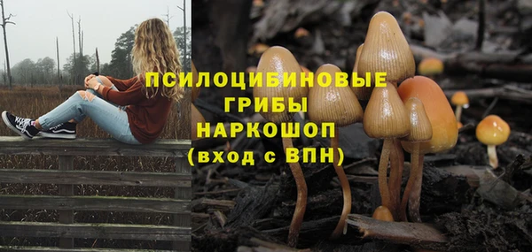 соль курить ск Яровое