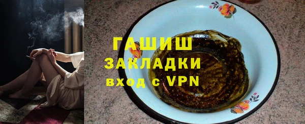 индика Волоколамск
