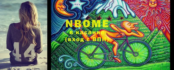 индика Волоколамск