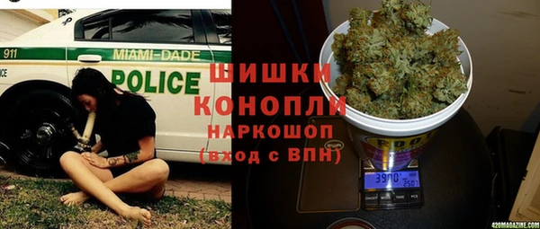 индика Волоколамск