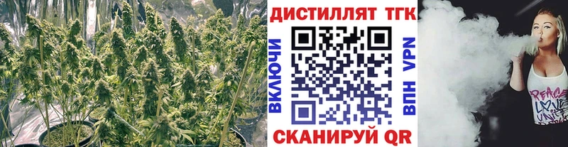 ТГК концентрат Лиски